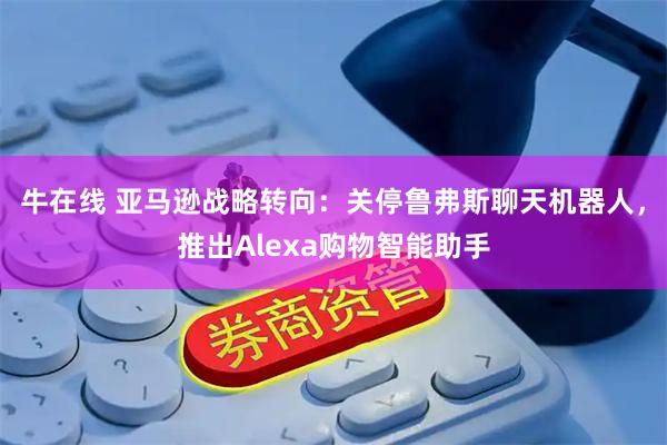 牛在线 亚马逊战略转向:关停鲁弗斯聊天机器人,推出Alexa购物智能助手