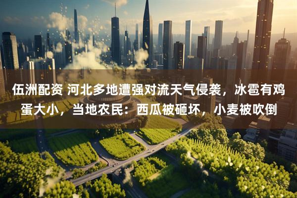 伍洲配资 河北多地遭强对流天气侵袭，冰雹有鸡蛋大小，当地农民：西瓜被砸坏，小麦被吹倒