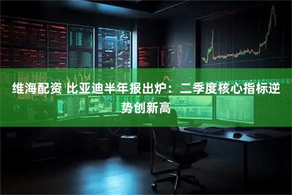 维海配资 比亚迪半年报出炉：二季度核心指标逆势创新高